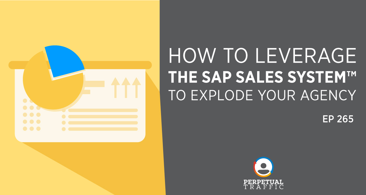 The SAP Sales System